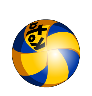 Dual Kota Volleyballs