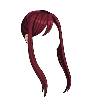 SwiftShift Knight's Ponytail + Locks