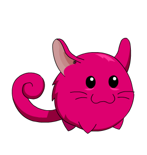 Pink Chinchilla 11