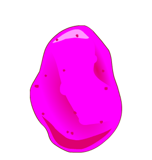 Pink Potato Pet