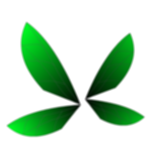 Emerald Fairy Wings