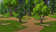 Timberland Area2