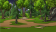 Timberland Area4