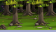 forestchaos r3