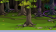 forestchaos r4