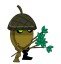 Acorn