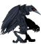 Vulture