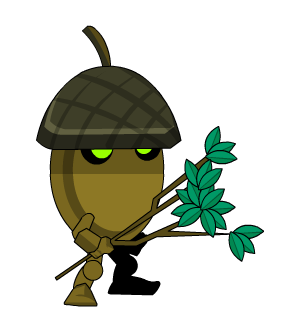Acorn