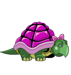 Pink Shell Turtle