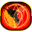 Detonation Shock